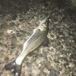 短時間ライトゲーム