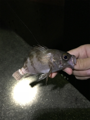 五目ライトゲーム