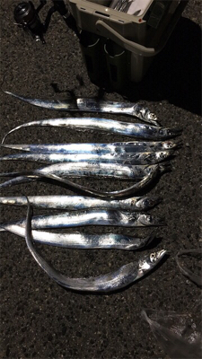 爆風！大荒れ！！爆釣