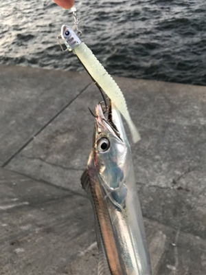 タチカッターにもめげずにFLAP