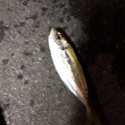 アジュールアジング