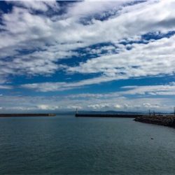 洲本港 サビキ釣り