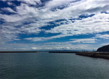 洲本港 サビキ釣り
