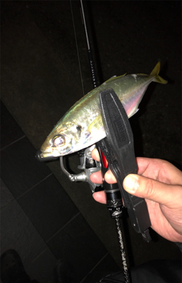 アジを求めて②