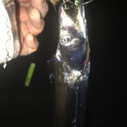 短時間釣行で。