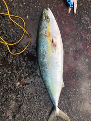 逆風に負けずに粘った甲斐がありました