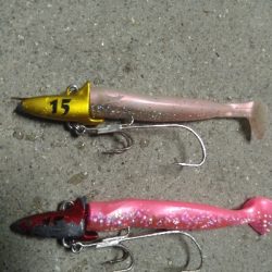 タチウオ大きくなってきた?