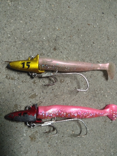 タチウオ大きくなってきた?