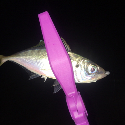 大阪湾奥アジング 渋い時のリグの選択