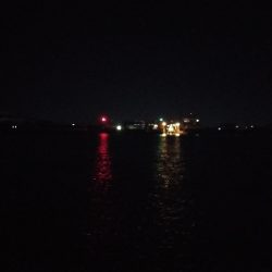 鯖に始まり鯖に終わる太刀魚