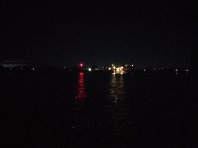 鯖に始まり鯖に終わる太刀魚