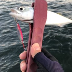 渋くてツライ(笑)