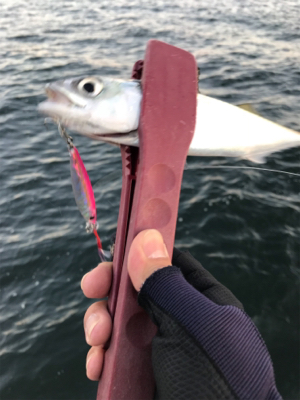 渋くてツライ(笑)