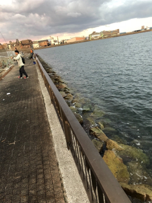 久しぶりのタチウオ