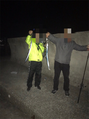 ワイワイ太刀魚ゲーム