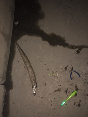 たまには1人で釣り