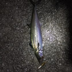 アタリはあるけど