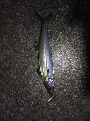 アタリはあるけど