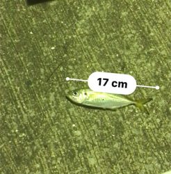 釣友会メンバーと