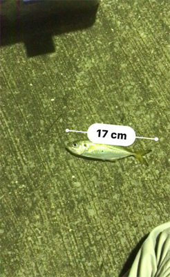 釣友会メンバーと