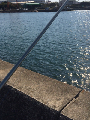 食欲旺盛なカレイ