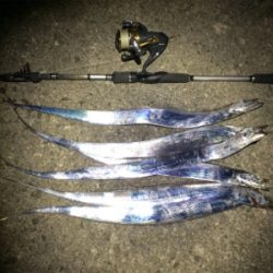 相生漁港で太刀魚テンヤ