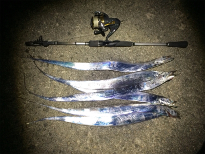 相生漁港で太刀魚テンヤ