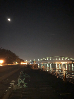 今夜もアタリ多数でした