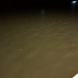 仕事終わりにライトゲーム