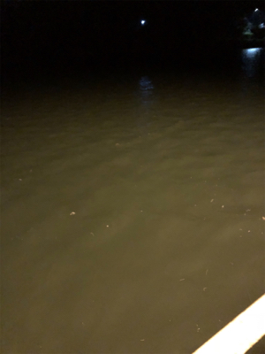 仕事終わりにライトゲーム