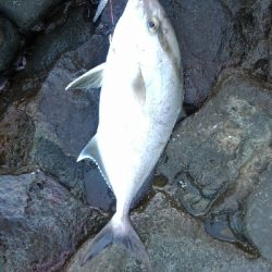 島根遠征　二日目