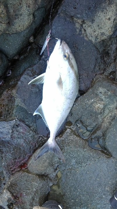 島根遠征　二日目