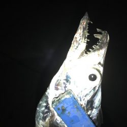 タチウオ×9からのサバ3