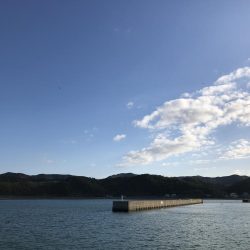 潮が強く 風も強く 青物反応なし