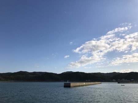 潮が強く 風も強く 青物反応なし