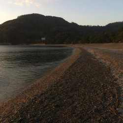 大神子でサゴシ