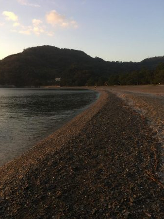 大神子でサゴシ