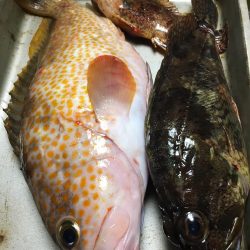 台風後ショアジギング!!