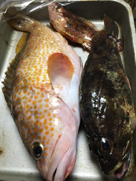 台風後ショアジギング!!