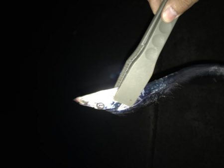 ワインドからのライトゲーム