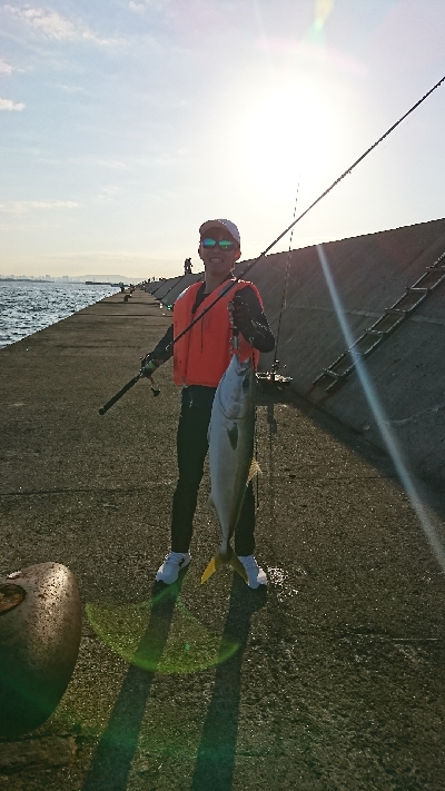 青物回遊のピーク？？