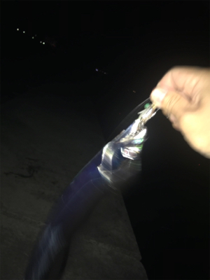 久しぶりに餌釣り  タッチポン