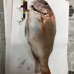 青物ならぬ○物