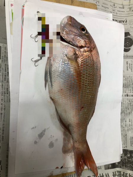 青物ならぬ○物