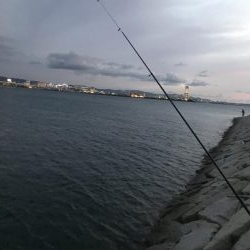 タチウオ釣れない(ノД`)