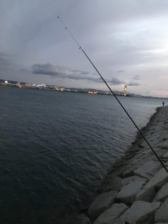 タチウオ釣れない(ノД`)