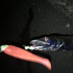 やっと湾の奥に入ってきた！