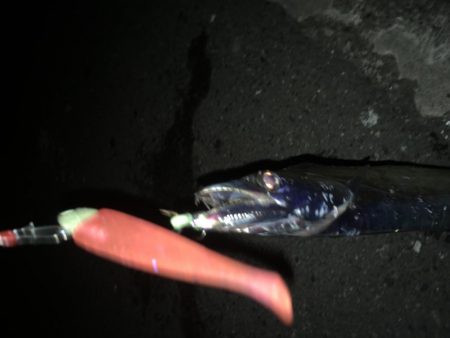 やっと湾の奥に入ってきた！