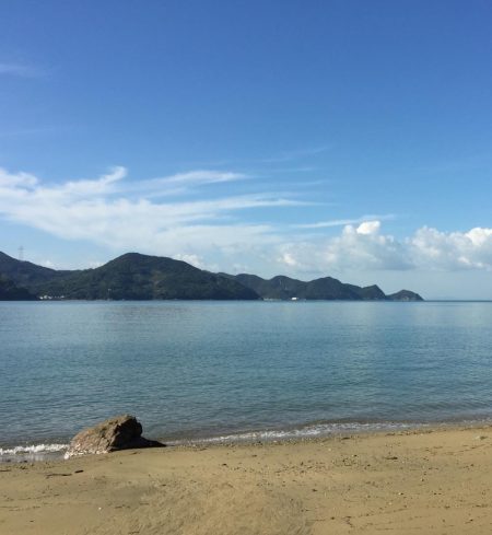 とりあえずガシラ