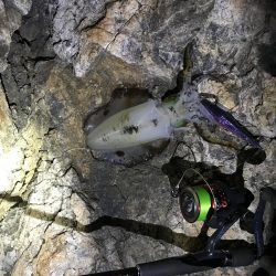 失った餌木…んぐ